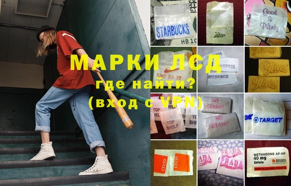 mdma Богородицк